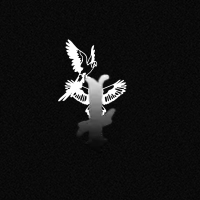 Spiritual Birds